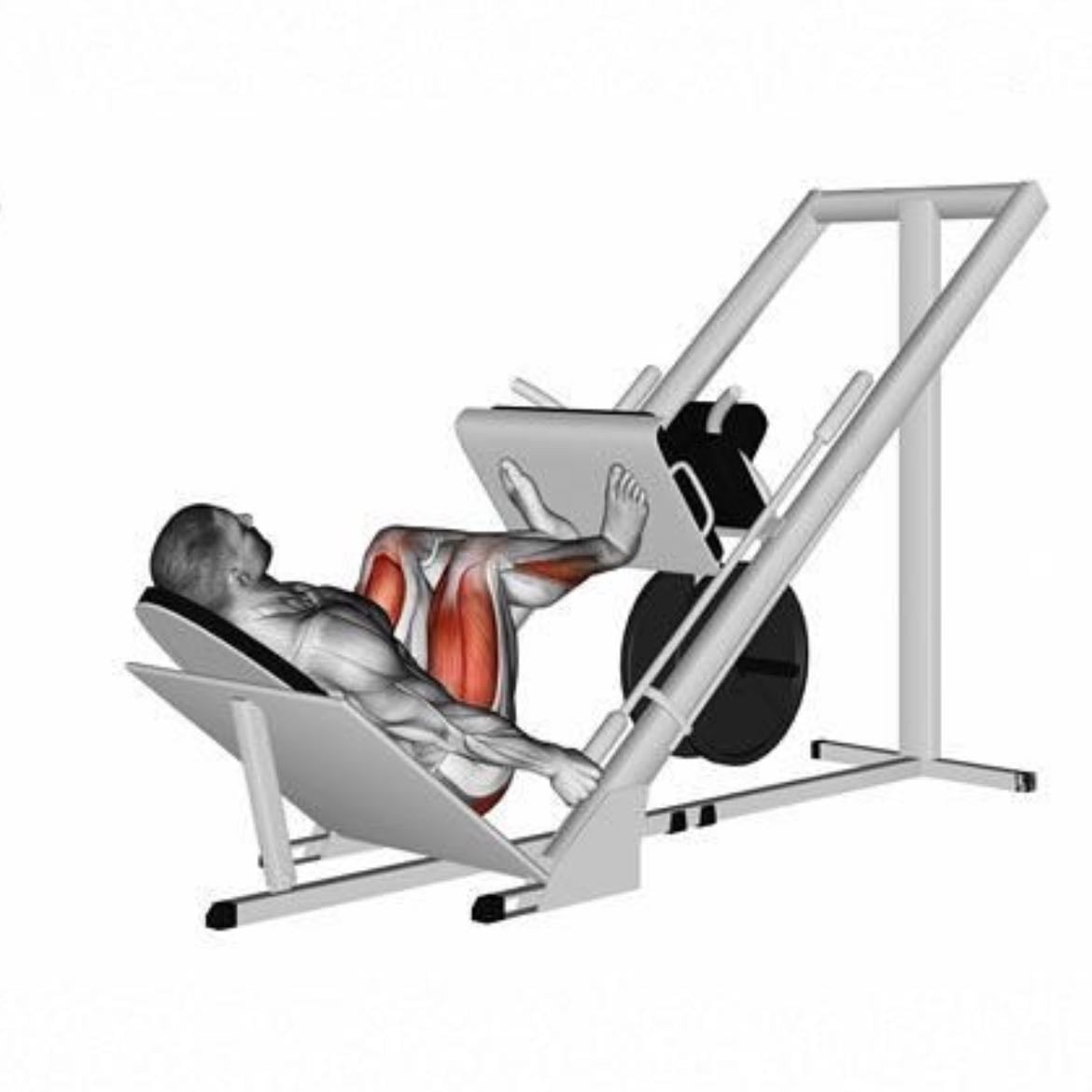 Leg press