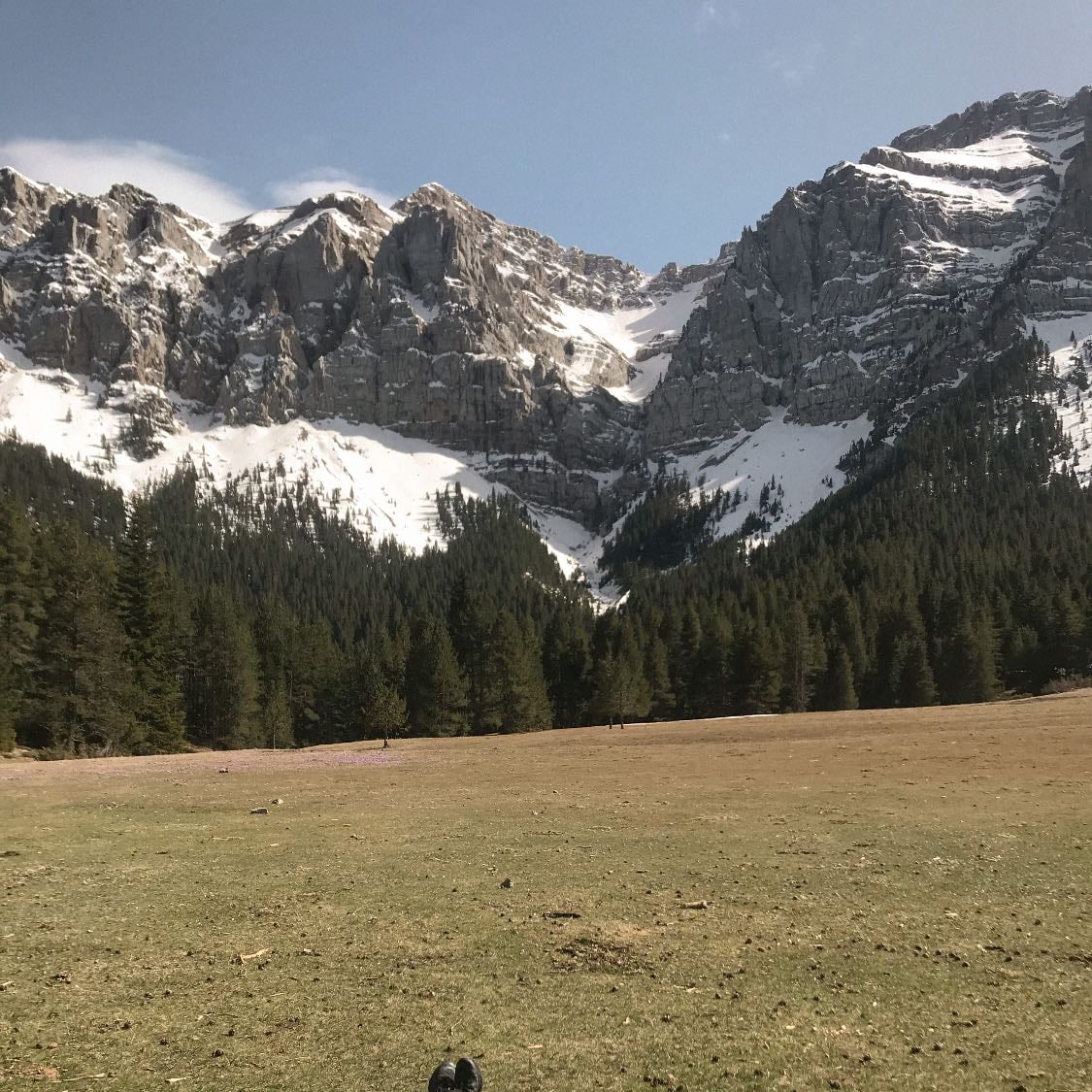 Prat del Cadí - 7 km - dificultat baixa - 1 h