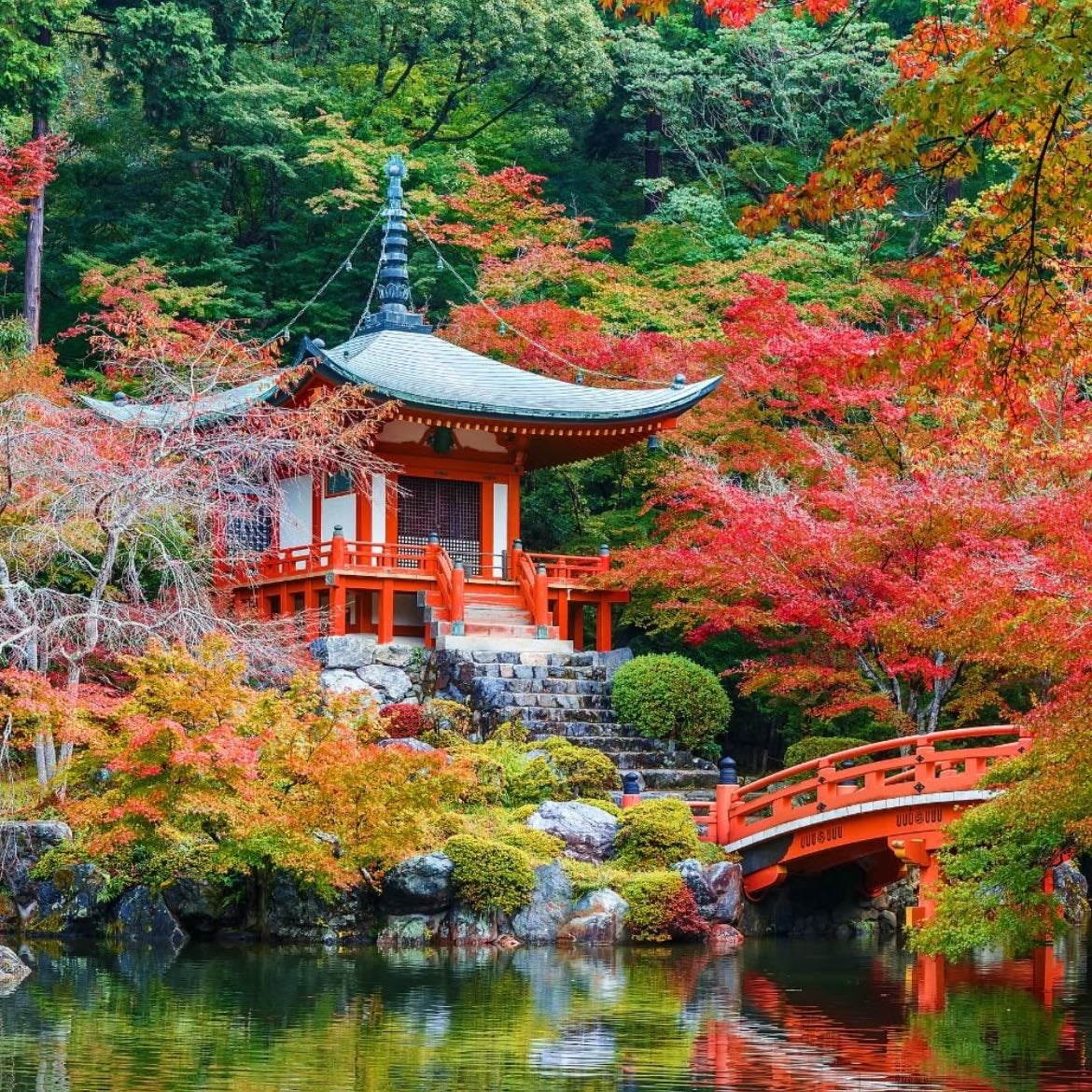 Kyoto 🇯🇵