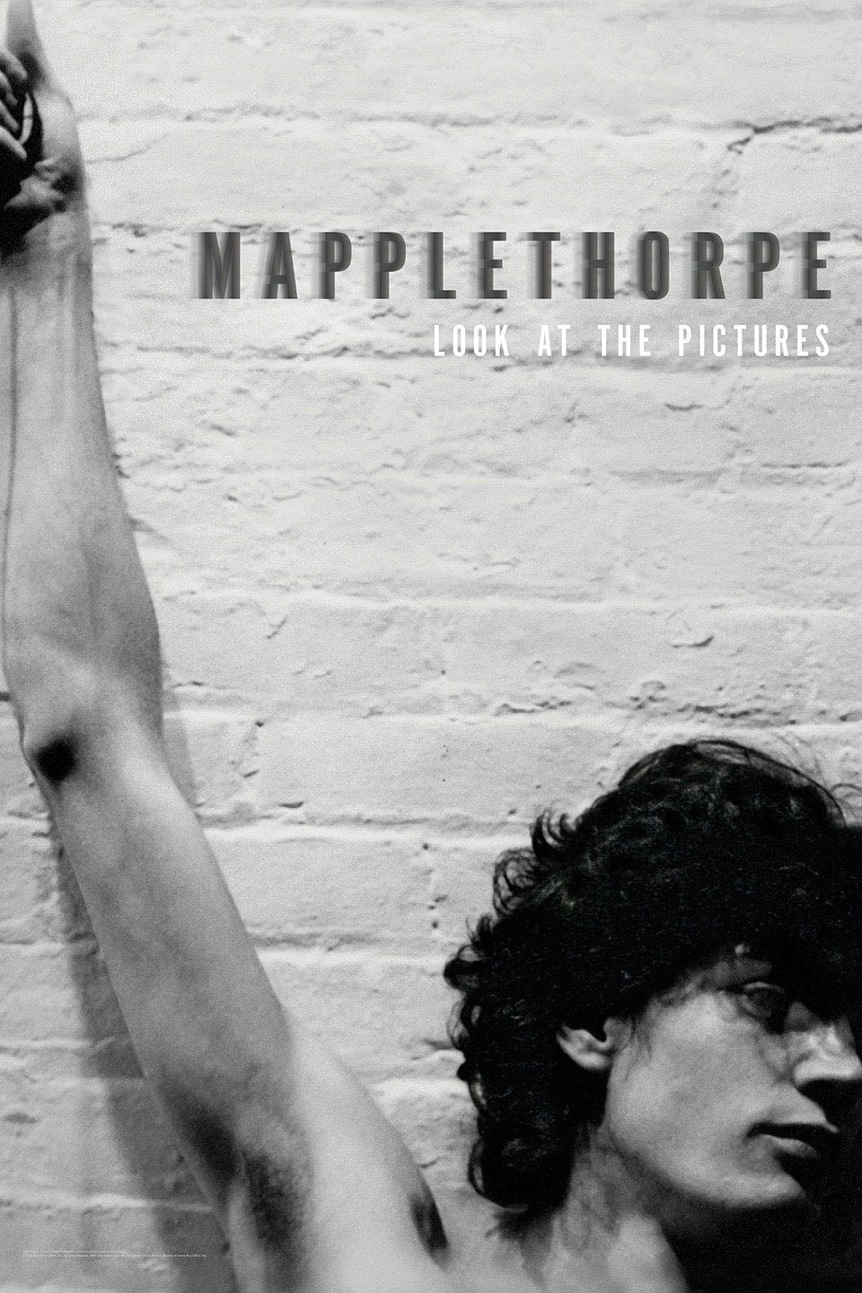 Mapplethorpe: Look at the Pictures - Fenton Bailey · 2016