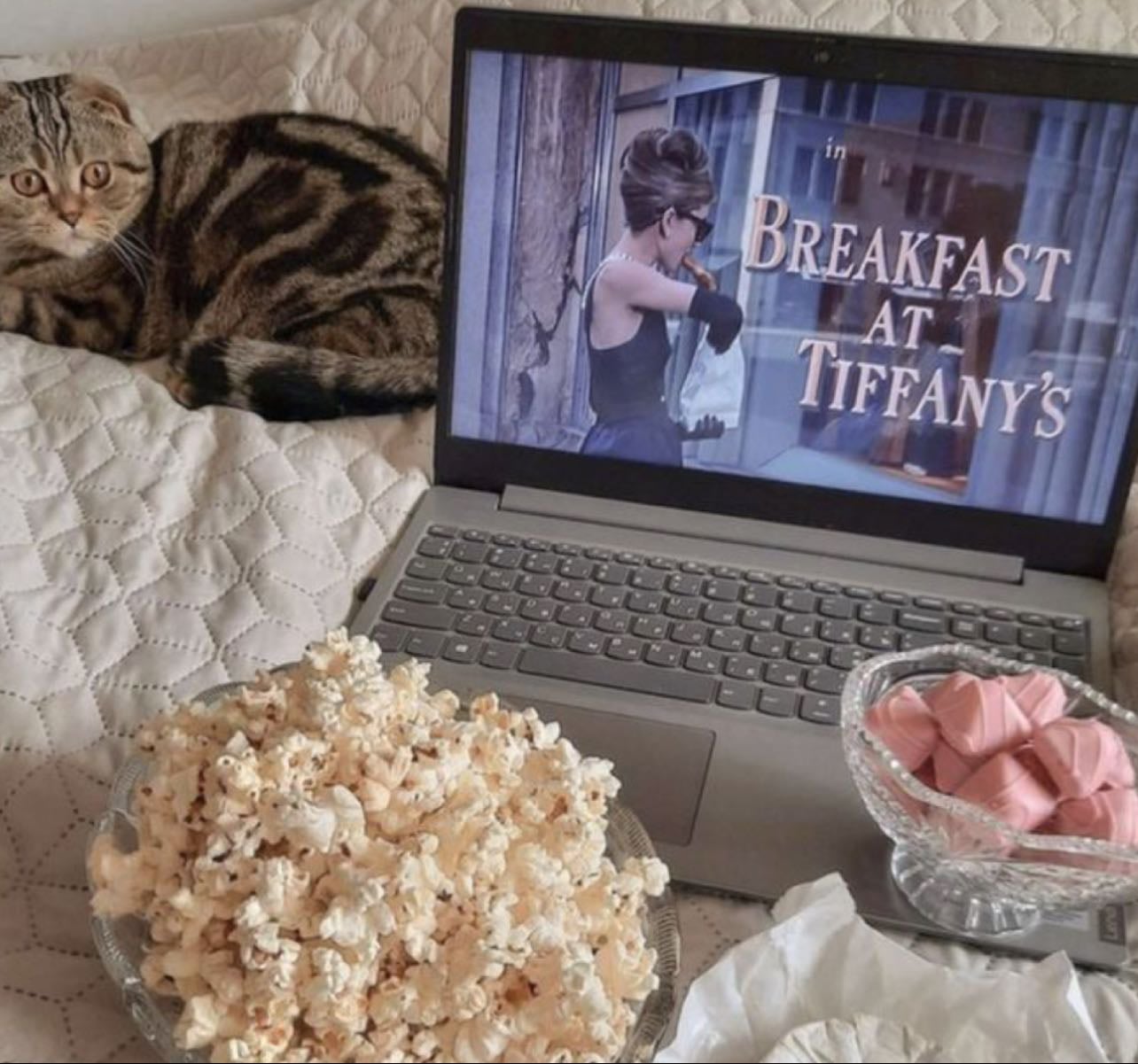 Glow-Up on the Big Screen