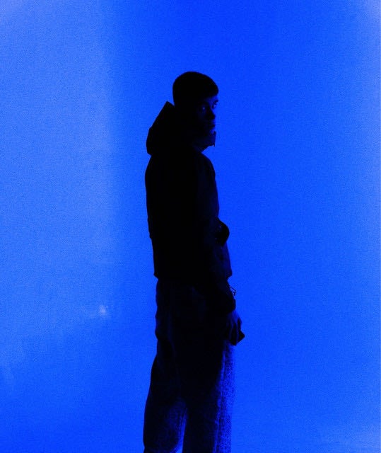 L'haine - Artist