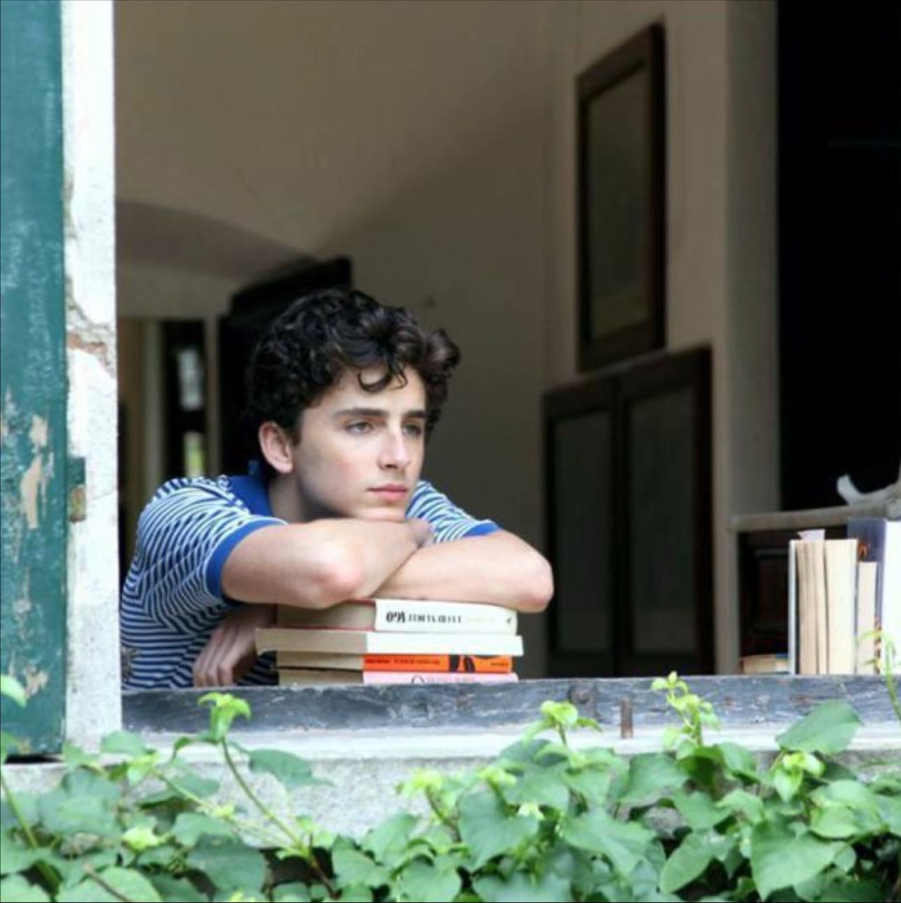 Call Me by Your Name - Luca Guadagnino · 2017