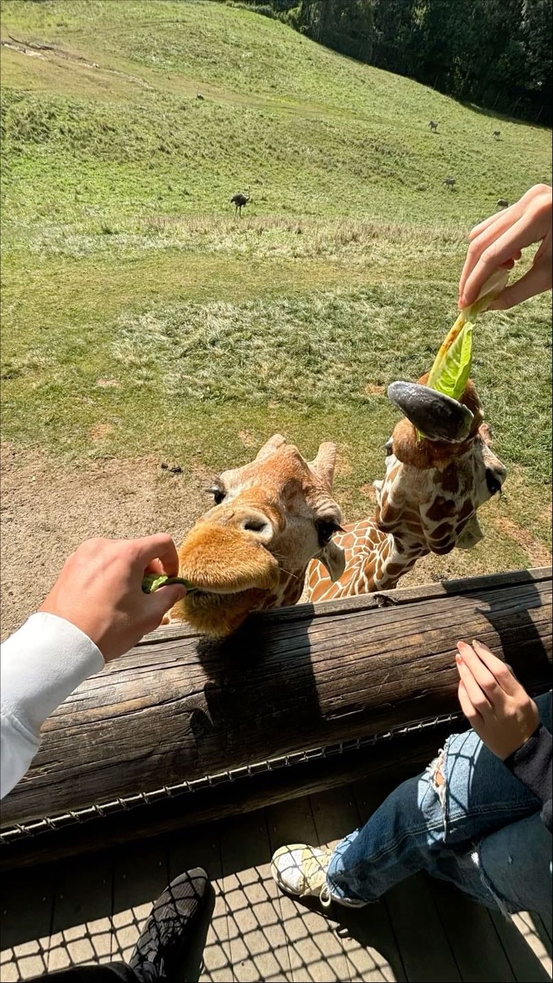 tierpark