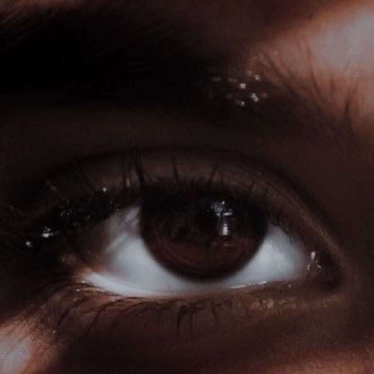 brown eyes - Brown eyes may be overlooked, but I see their beauty—deep, warm, and endless, like the last glow of the sun before night falls. bc