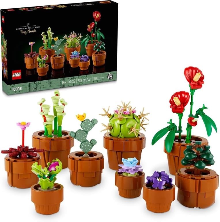 Plantas pequeñas - 1300