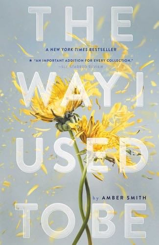 The Way I Used to Be - Amber Smith · 2017