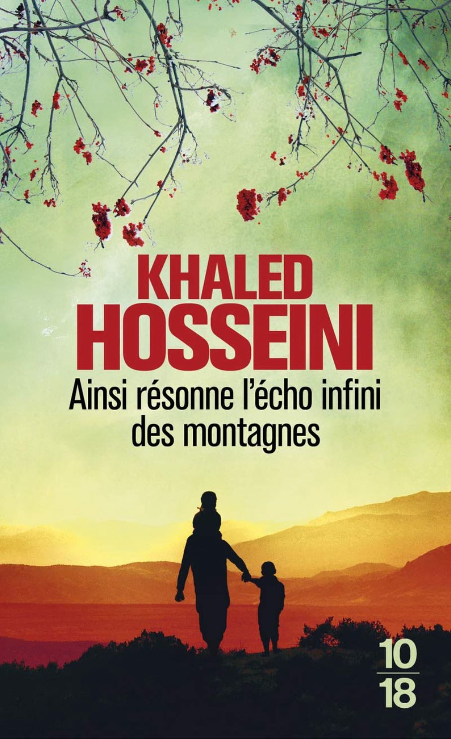 Ainsi résonne l'écho infini des montagnes - Khaled Hosseini · 2013