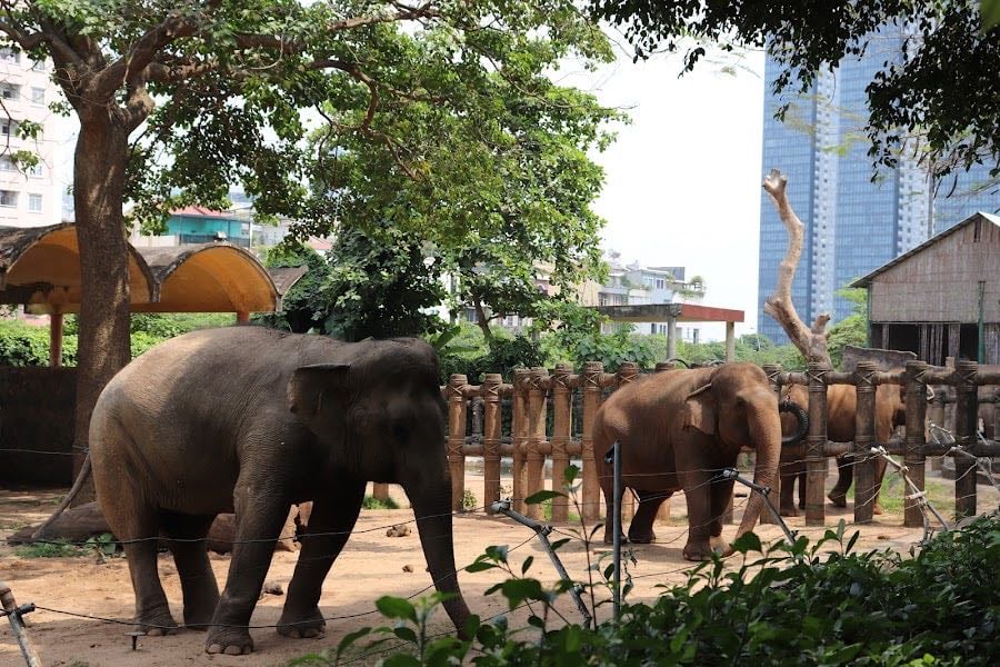 Saigon Zoo & Botanical Gardens