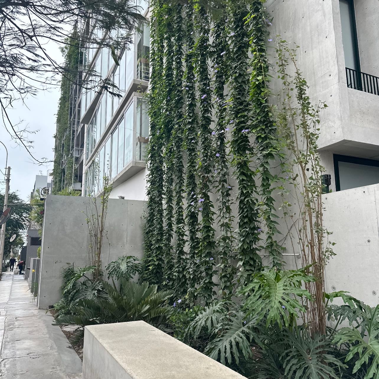 Miraflores