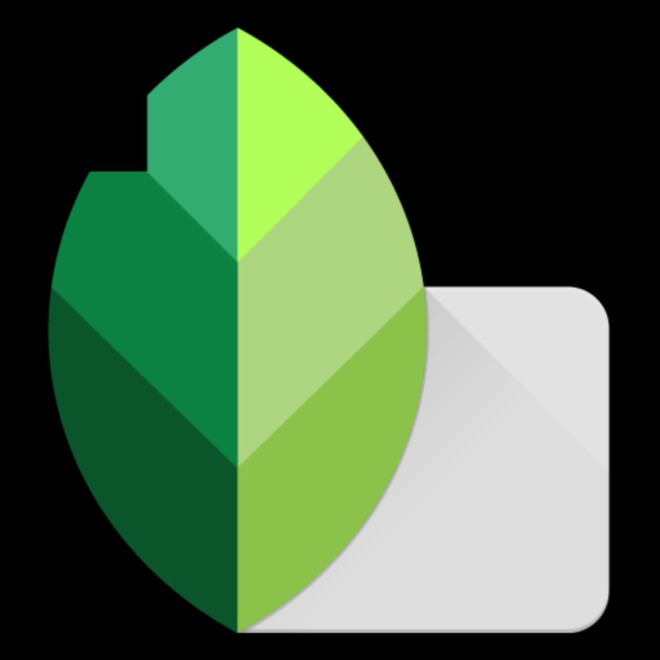 Snapseed - perfecto para eliminar manchas o elementos no deseados en tus fotos, además de ofrecer herramientas avanzadas para ajustar la iluminación y mejorar cada detalle con precisión profesional.