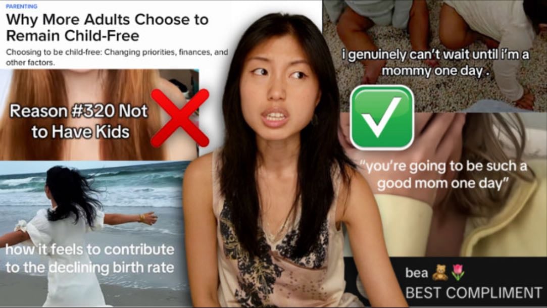 Why Don’t People Want Kids Anymore? - Not Even Emily | Youtube