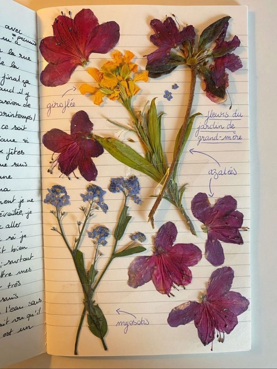 dried flowers - @zarintabassumpubon (pinterest)