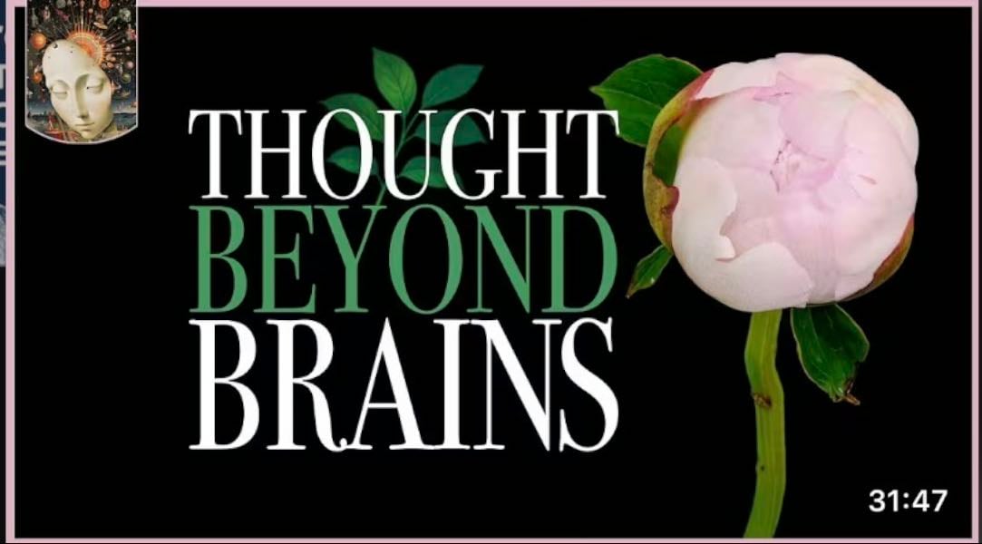 How Plants Think & What It Teaches Us About Consciousness - Infinite Now | Youtube