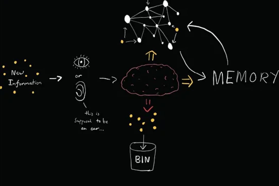 How To Understand More of What You Read - Craig Perry | Substack