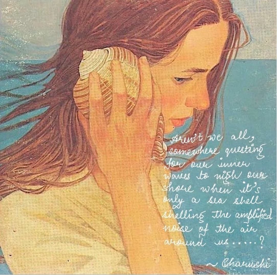thinking of the shell; - small observations are all that are needed.