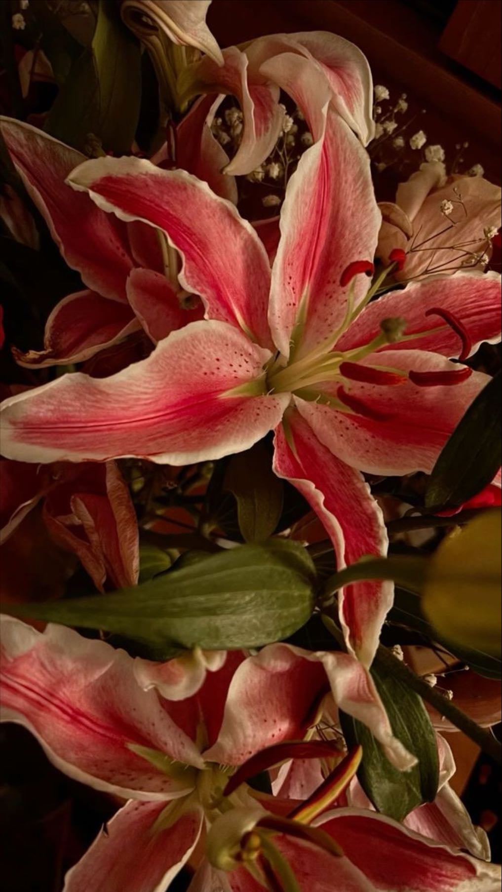 lilies; - purity, rebirth, love, and beauty.