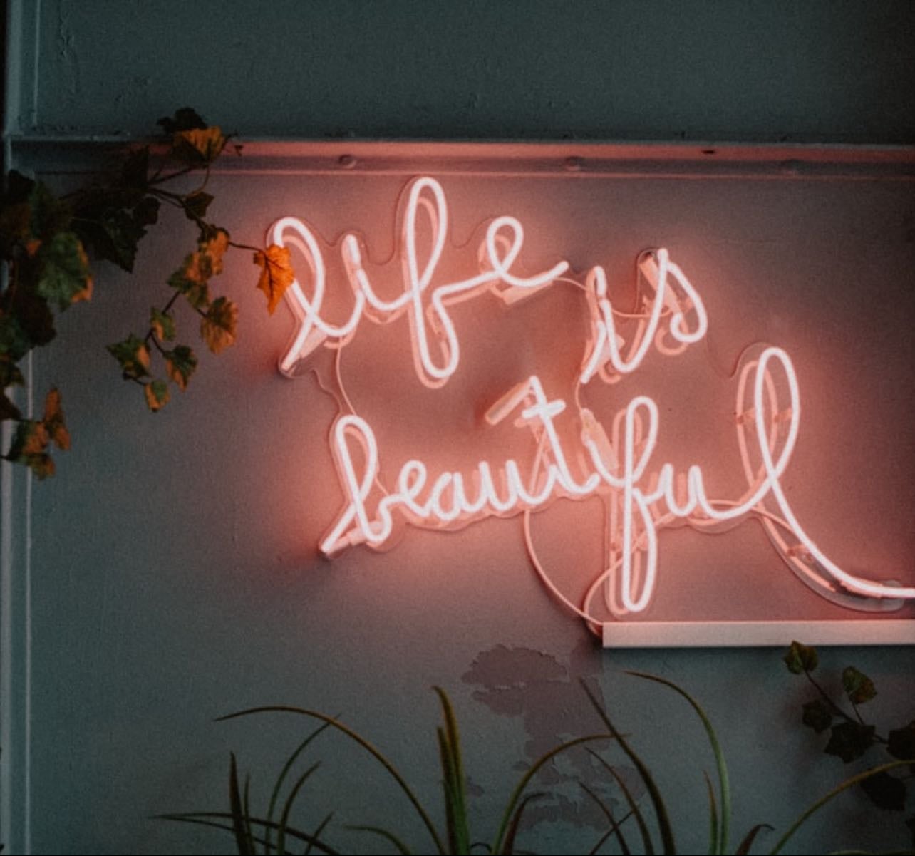 Lugares cute 🍸 - Places hypelist by Annette Melissa Arán Peralta