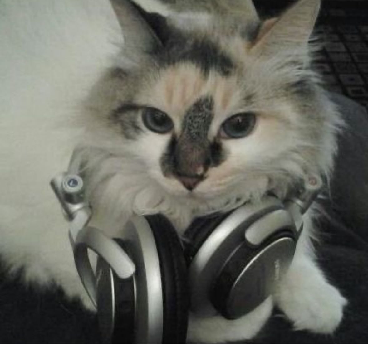 mis canciones favoritas - Music hypelist by eli 馃
