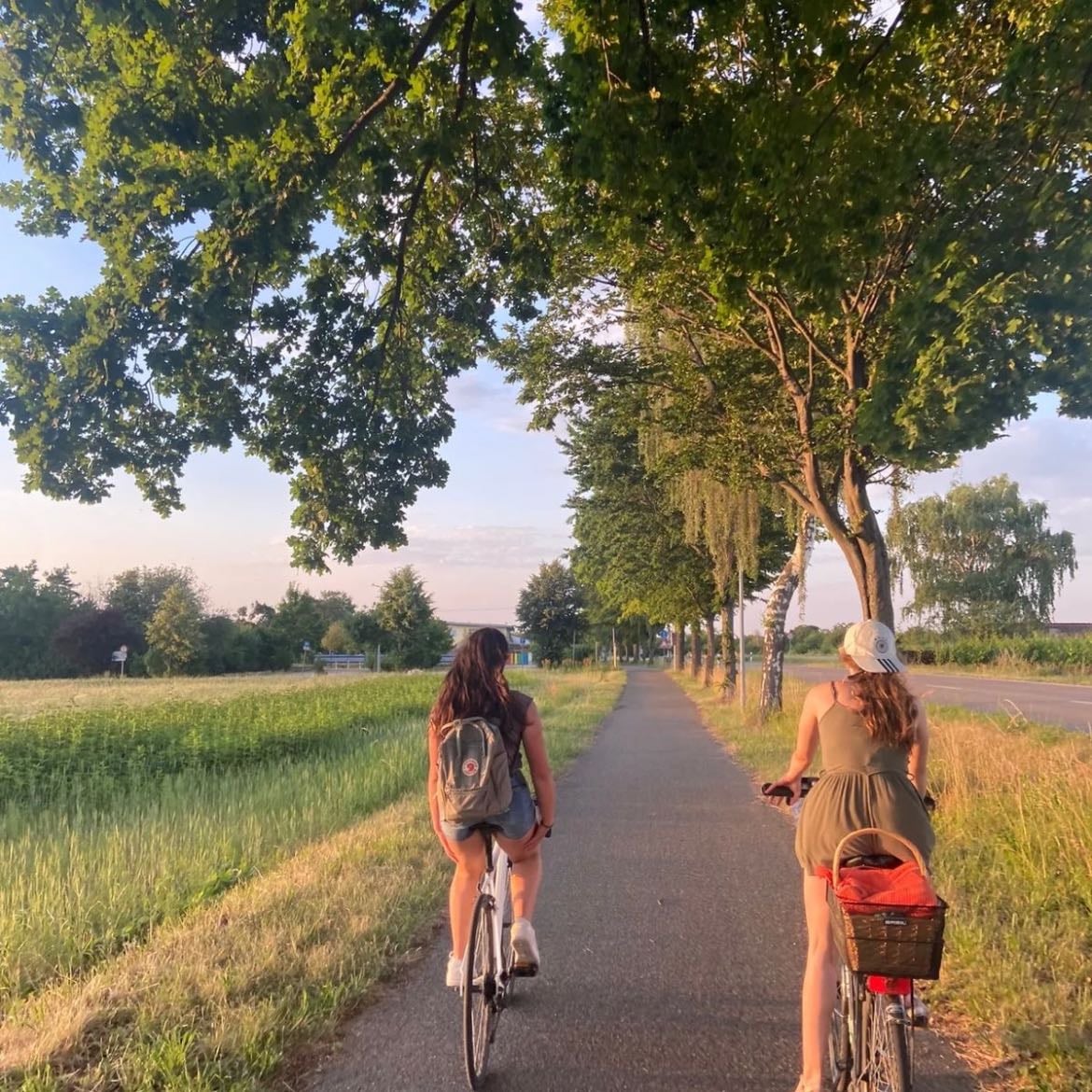 Balade au parc