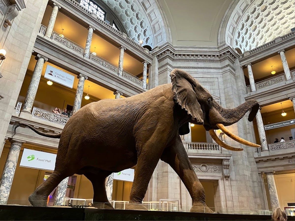 Natural History Museum