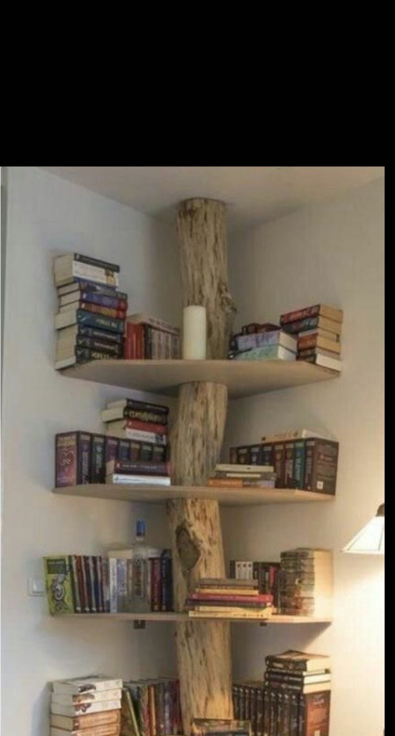bookshelves
