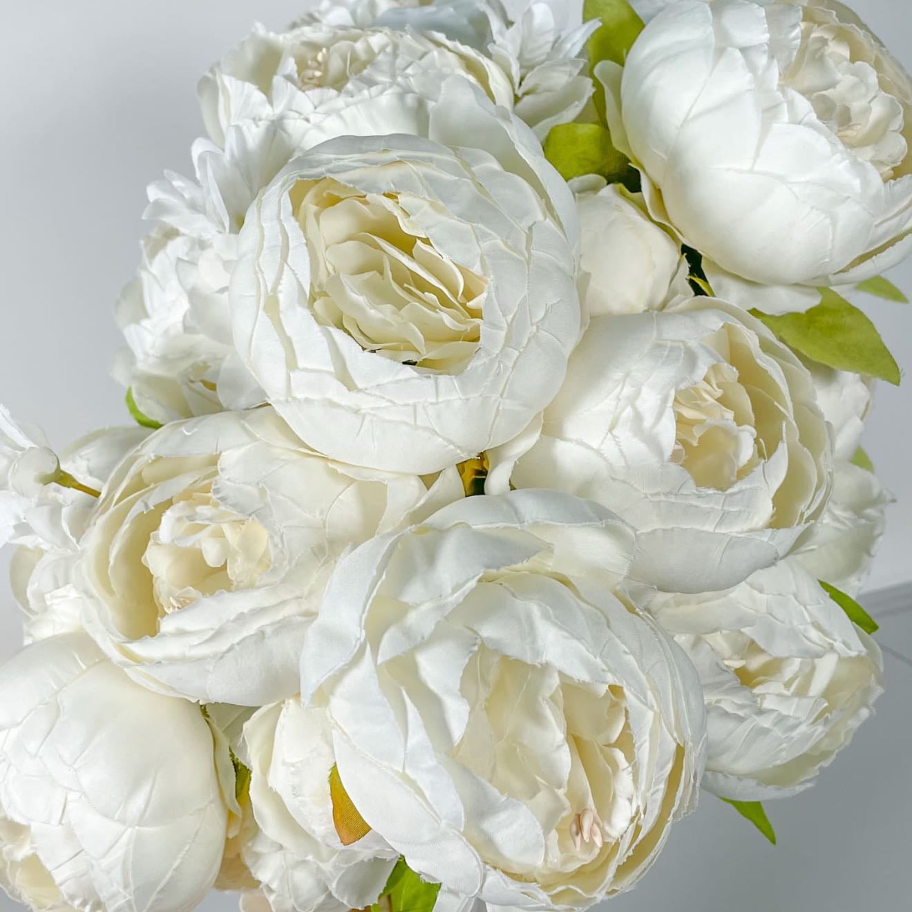 Peonias blancas