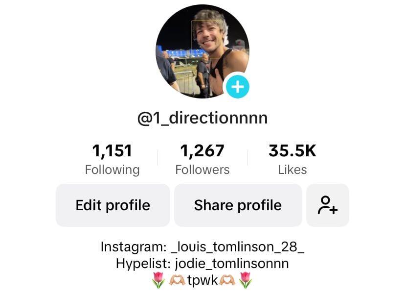 LEAVE YOUR TIKTOK USERS HERE AND ILL FOLLOW YOU!! ππ€πΌπ€πͺ© - Music hypelist by Jodie