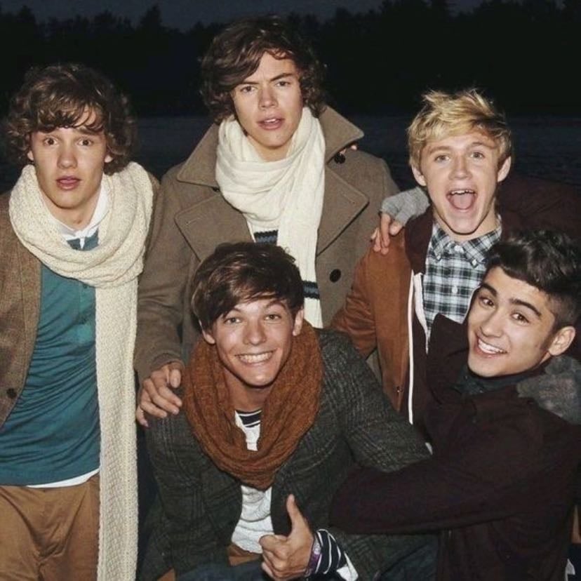 FETUS 1D