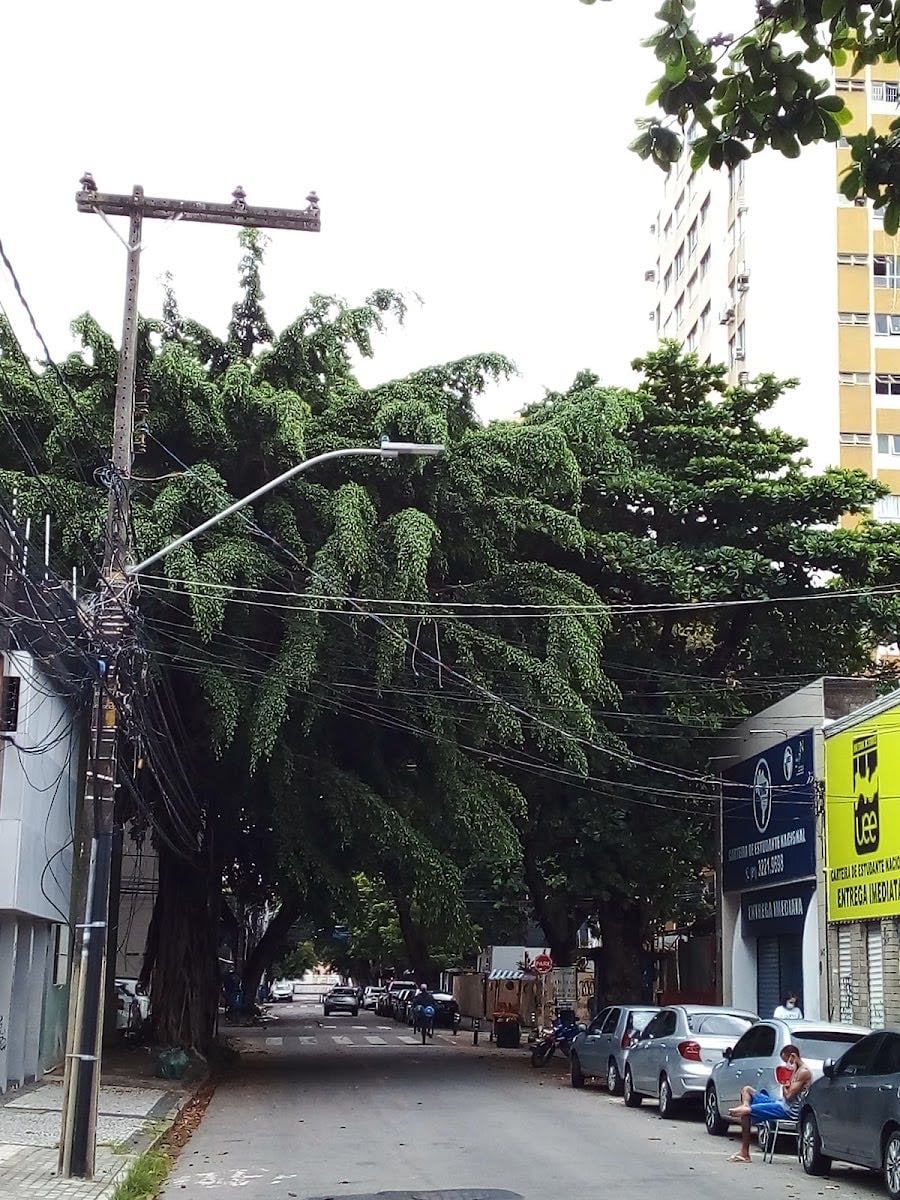Rua das Ninfas
