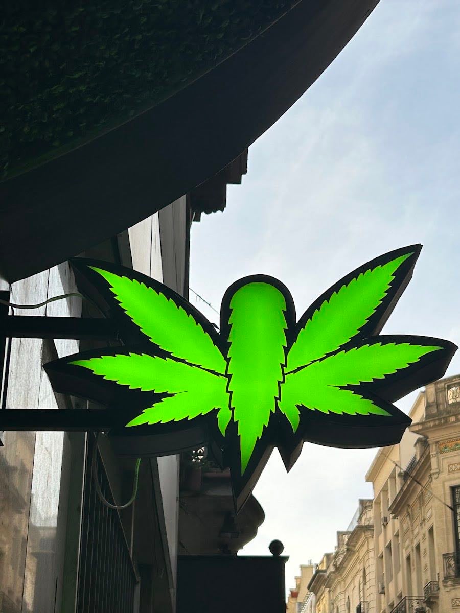 GREEN LADY Growshop | Microcentro - pra pesquisar rsrsrs
