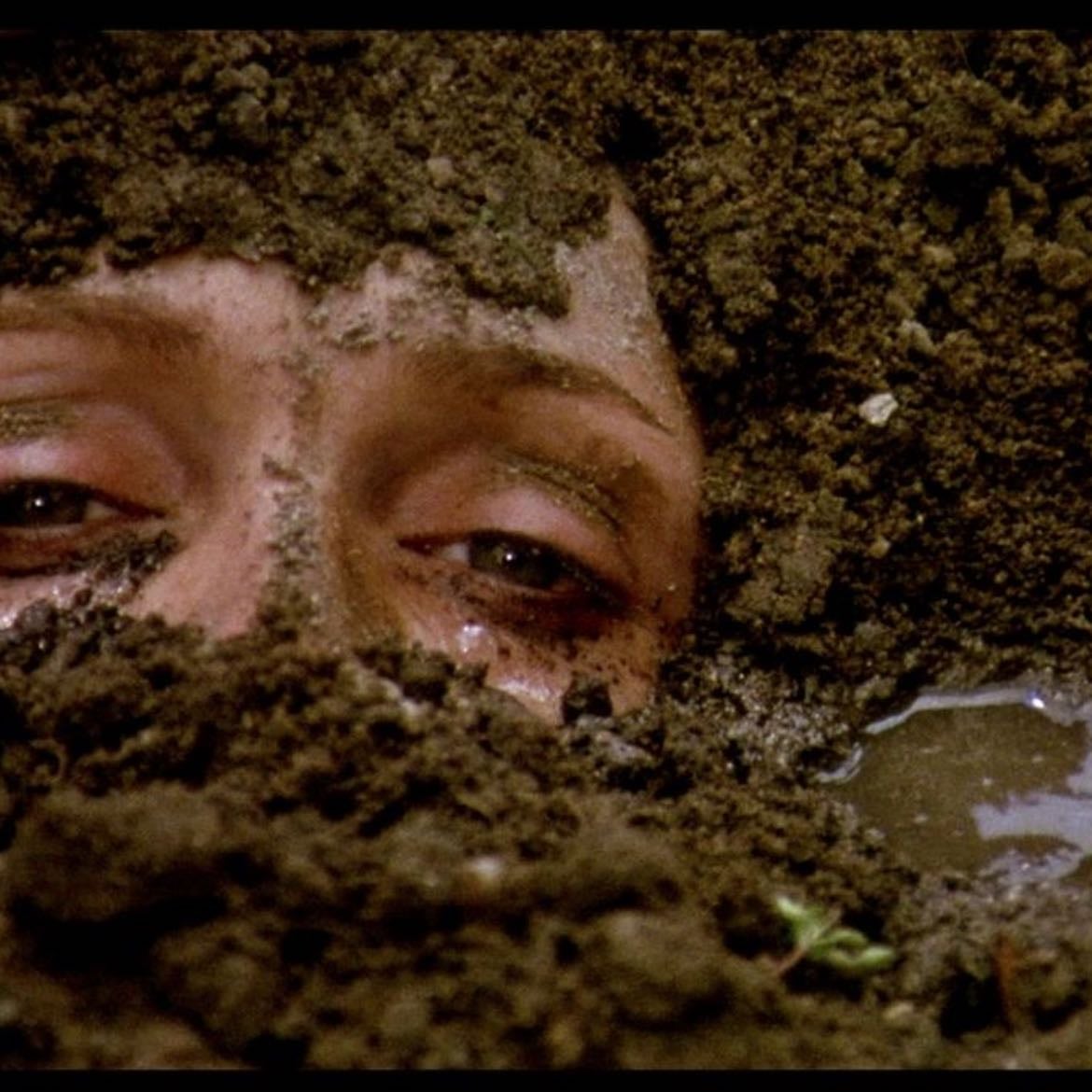 Teorema - Pier Paolo Pasolini · 1968