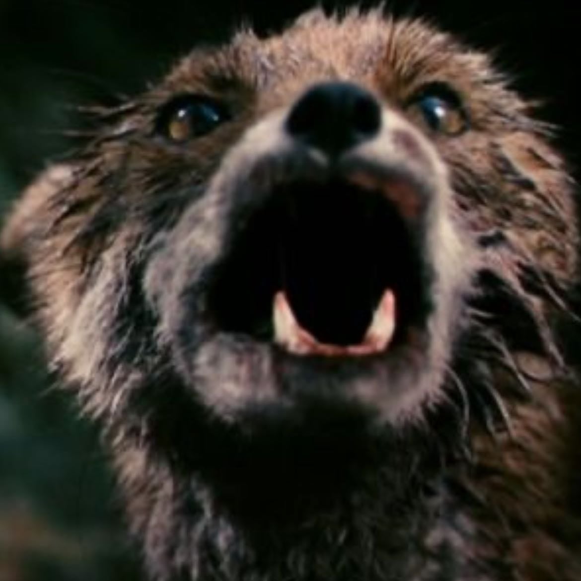 Antichrist - Lars von Trier · 2009