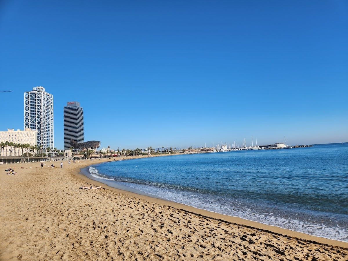 Playa de la Barceloneta