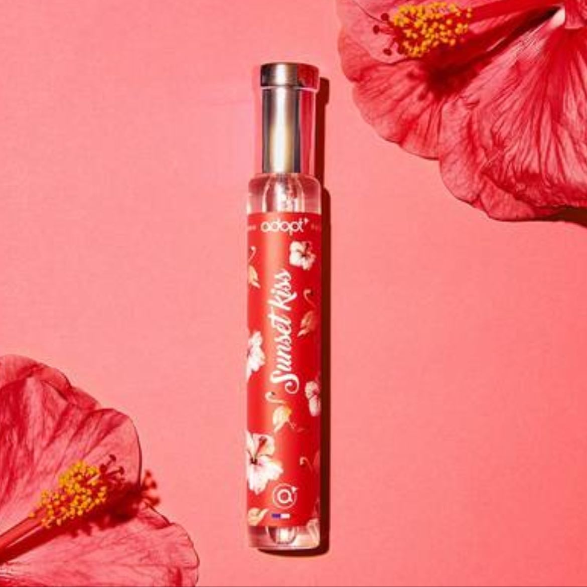 Sunset kissies adopt - Cet été à mimizan