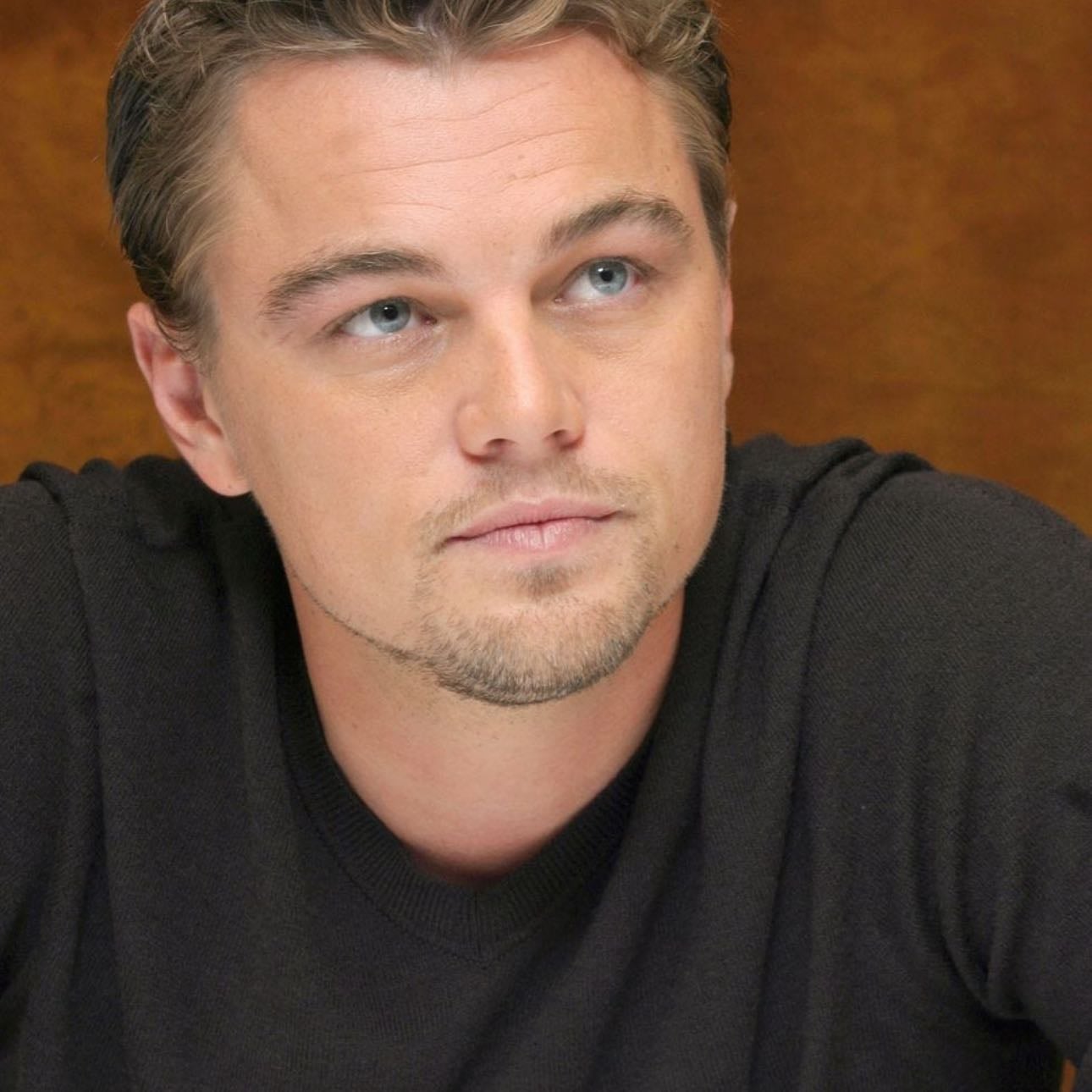 Leonardo DiCaprio