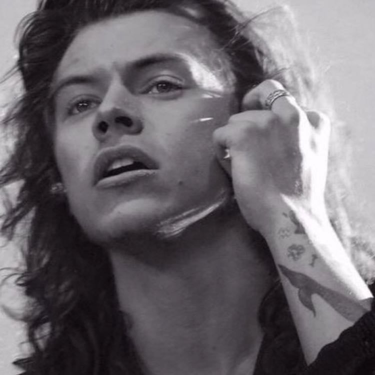 Lhh was Harry’s best era idc what anyone says 😔🙏