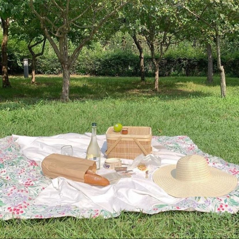 Picnic en un parque