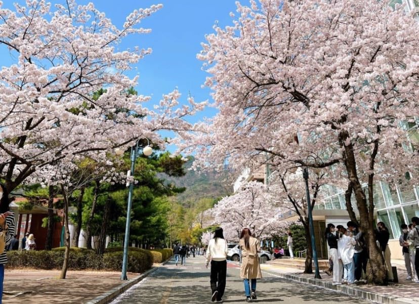 Tomarnos fotos en una máquina estilo korea
