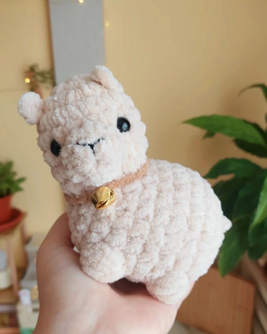 alpaca