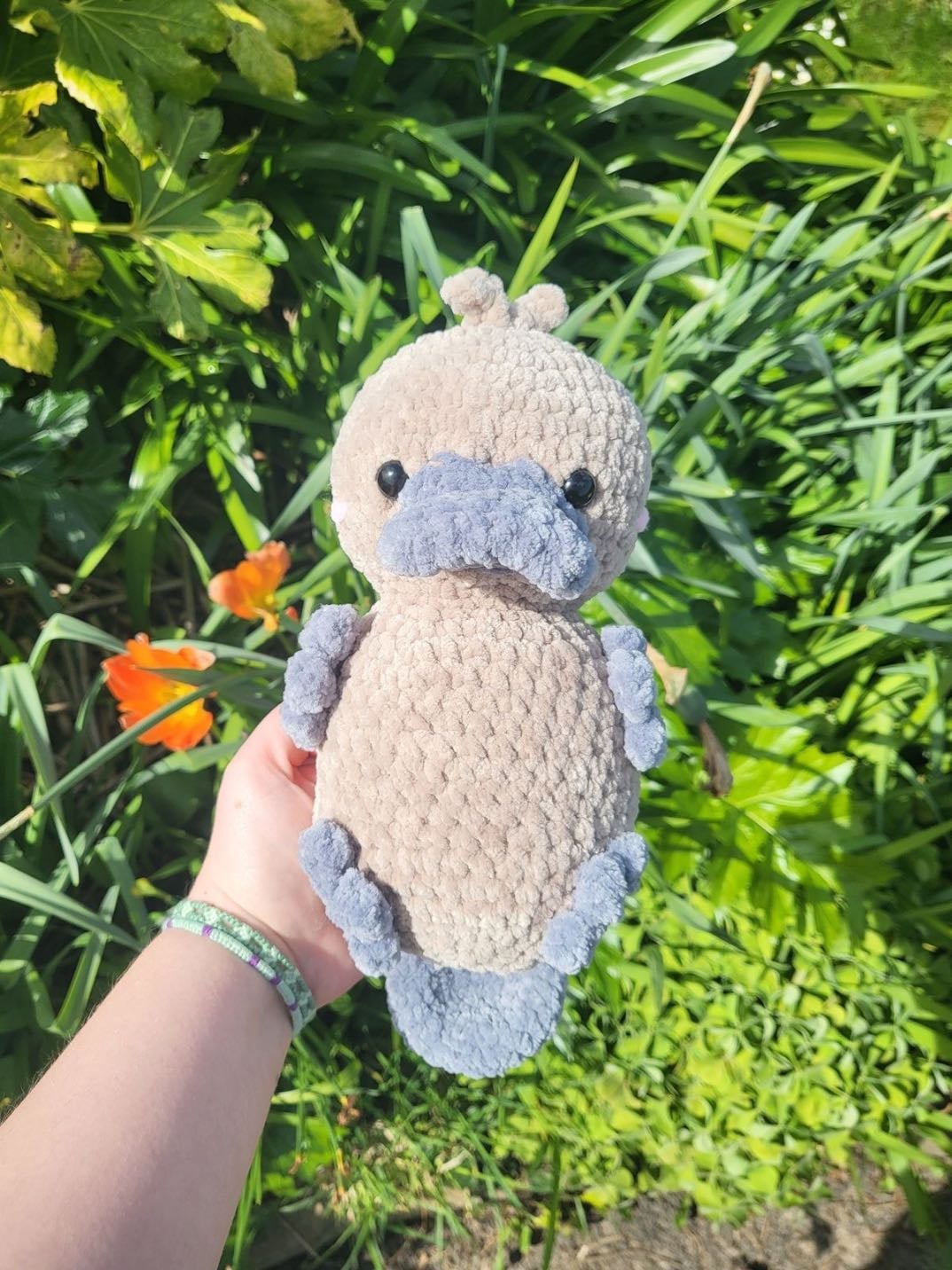 platypus