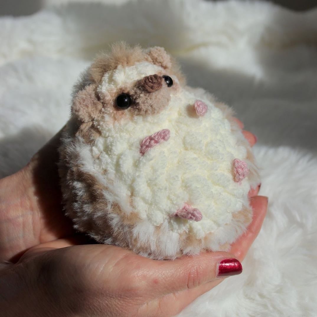 hedgehog