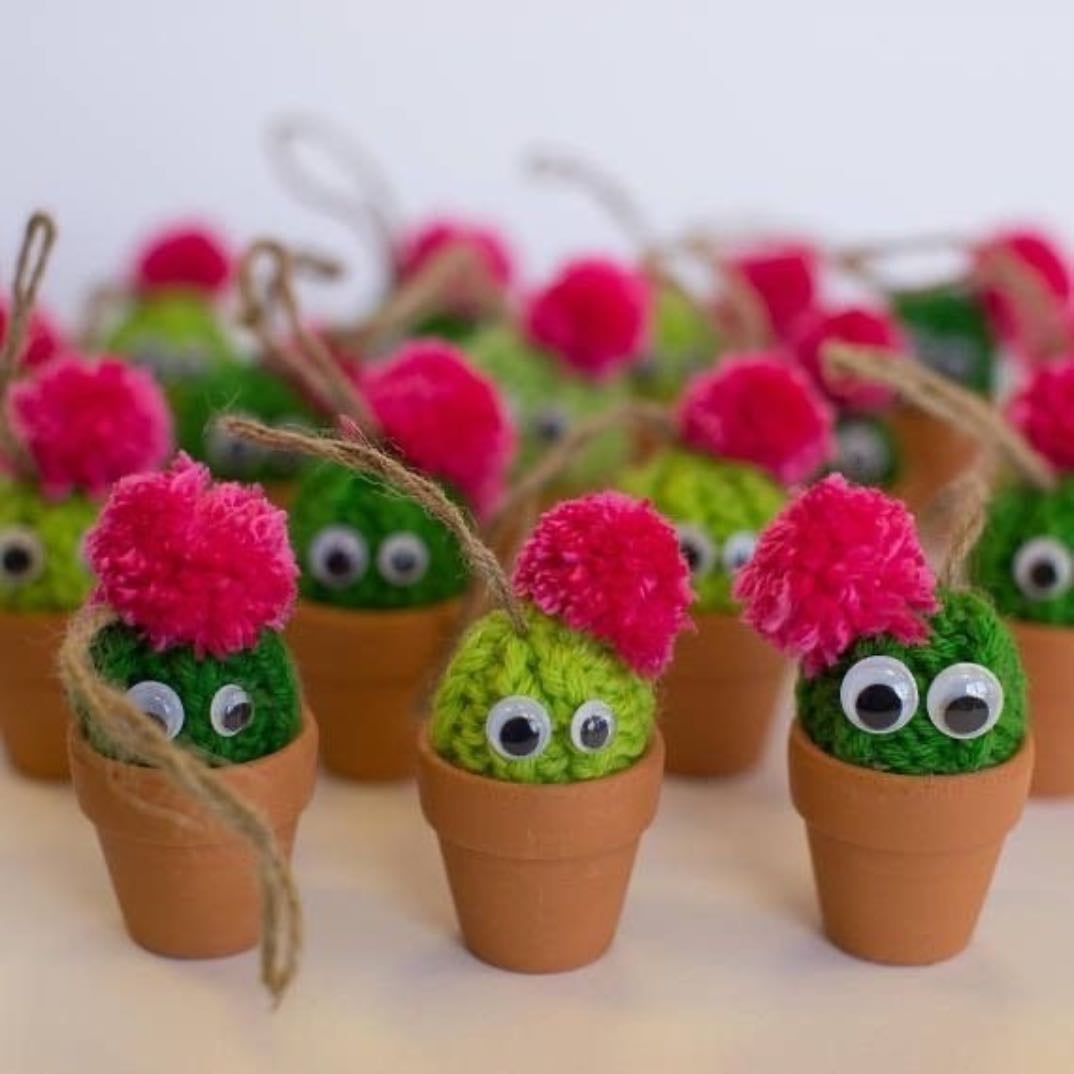 pompom cactus