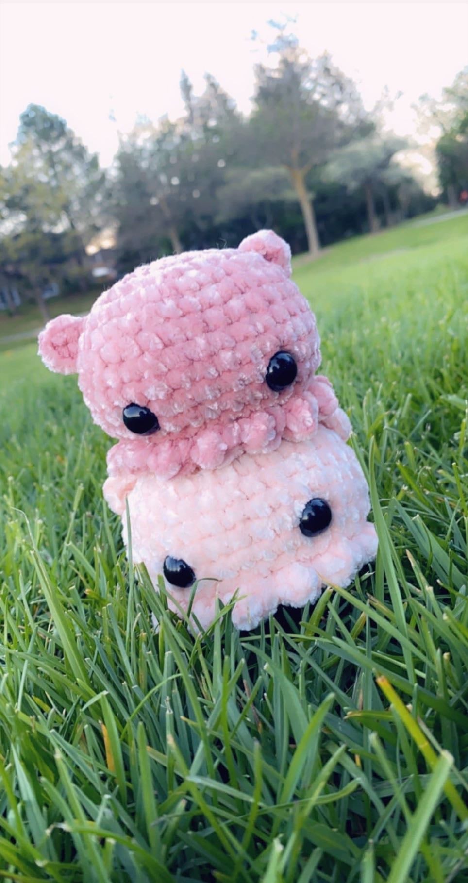 octopus