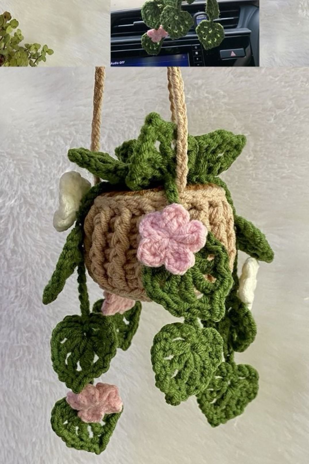 hanging plant