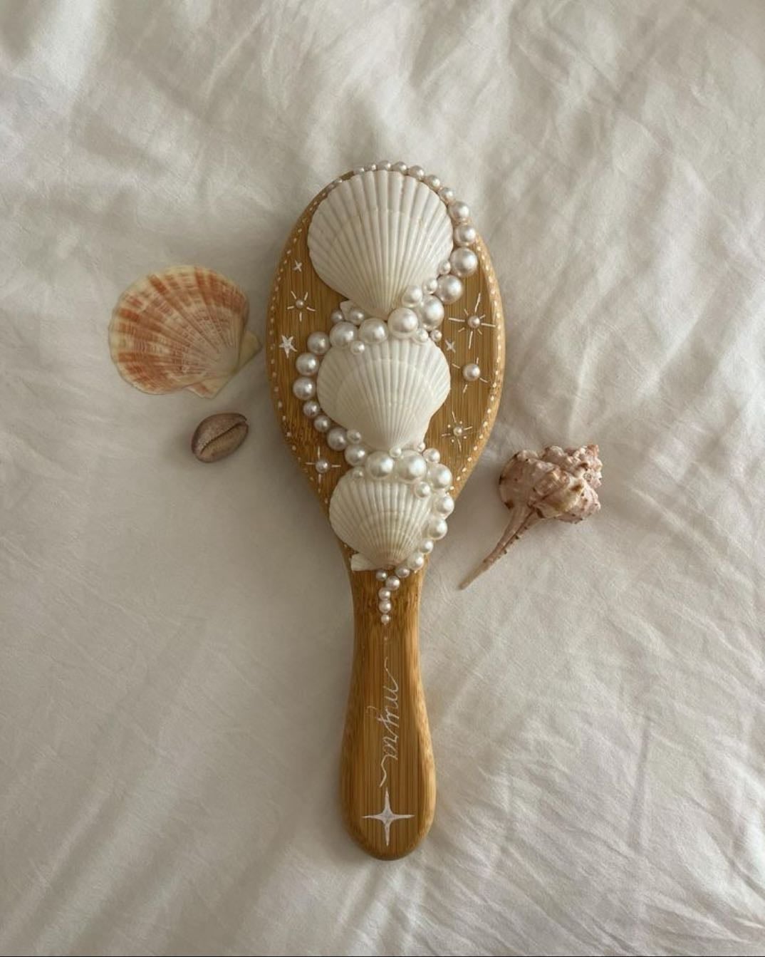 seashell brush