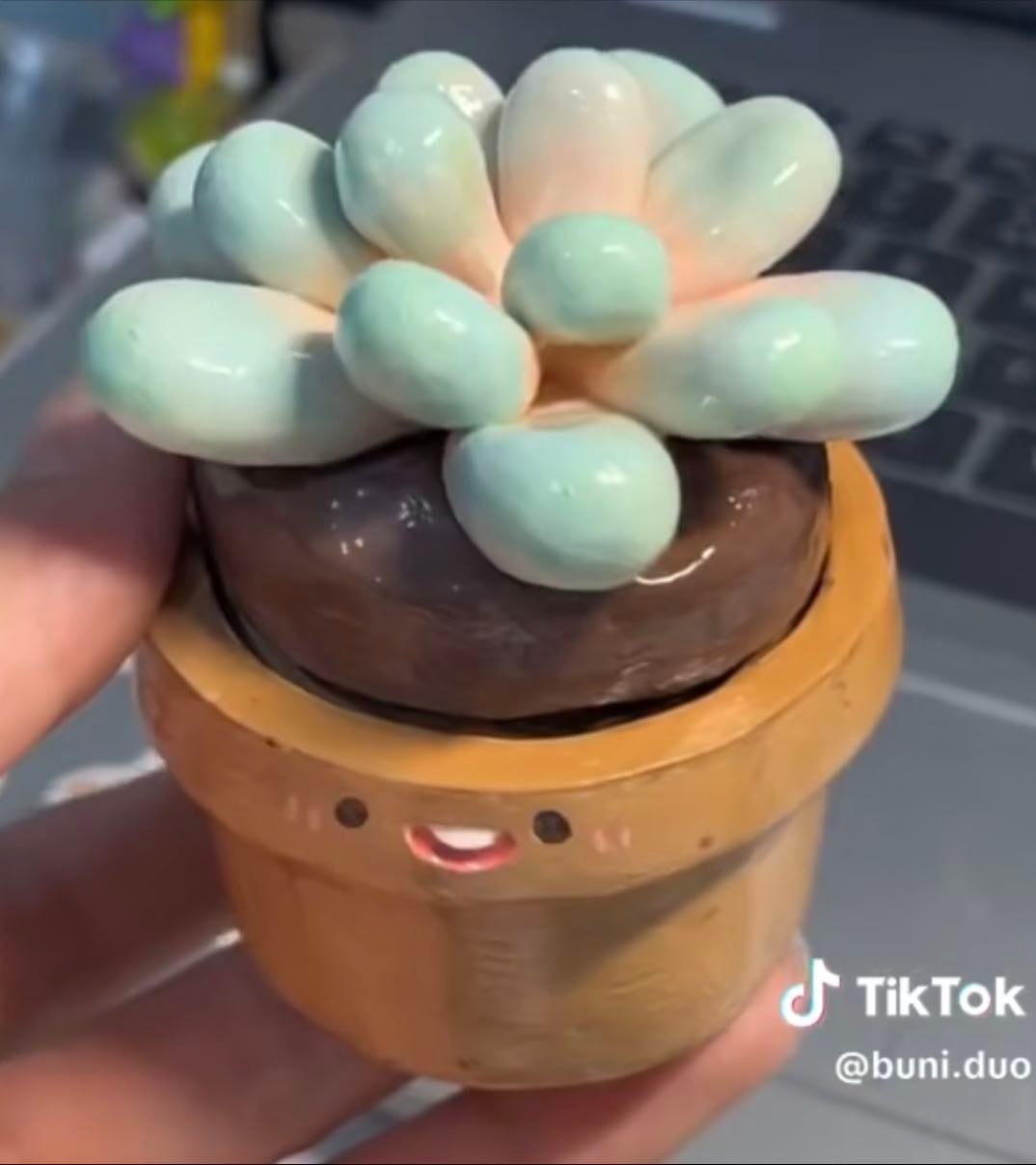 clay pot