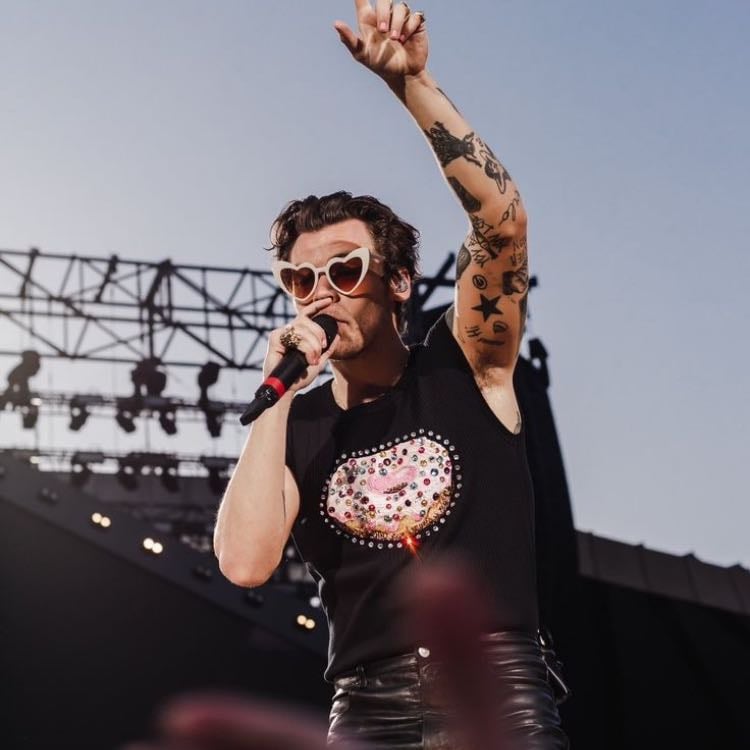 Harry styles - Seeing him in concert would heal me