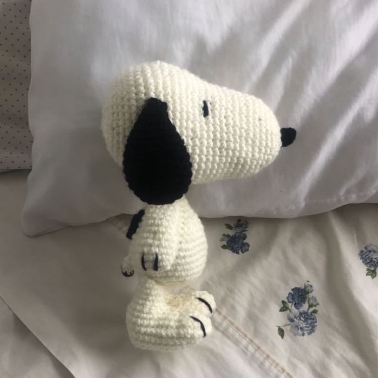 snoopy! - I would make this for my nephew!!