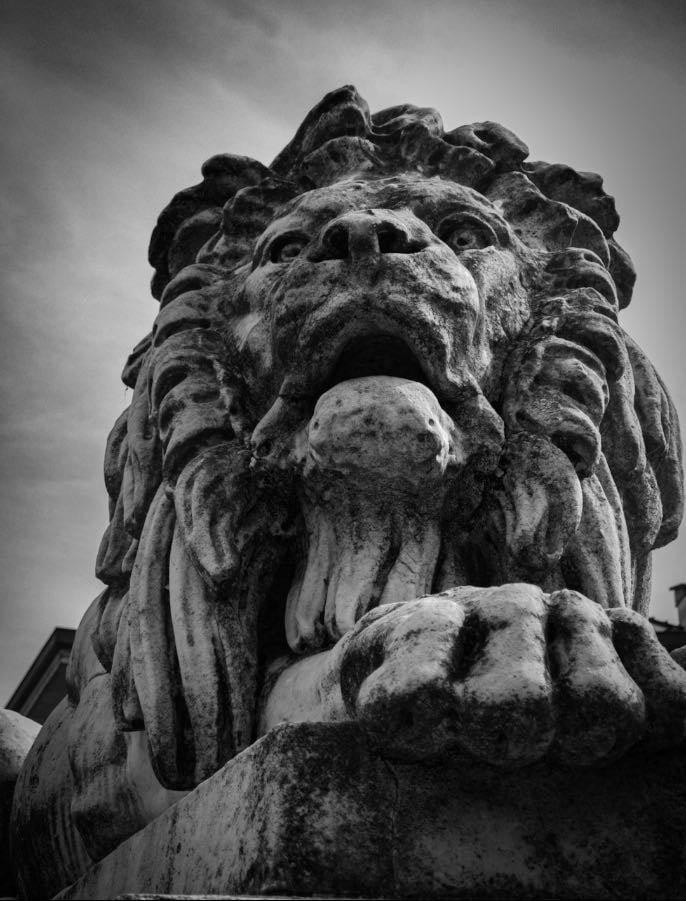 The Chronicles of Narnia: The Lion, the Witch and the Wardrobe - Andrew Adamson · 2005